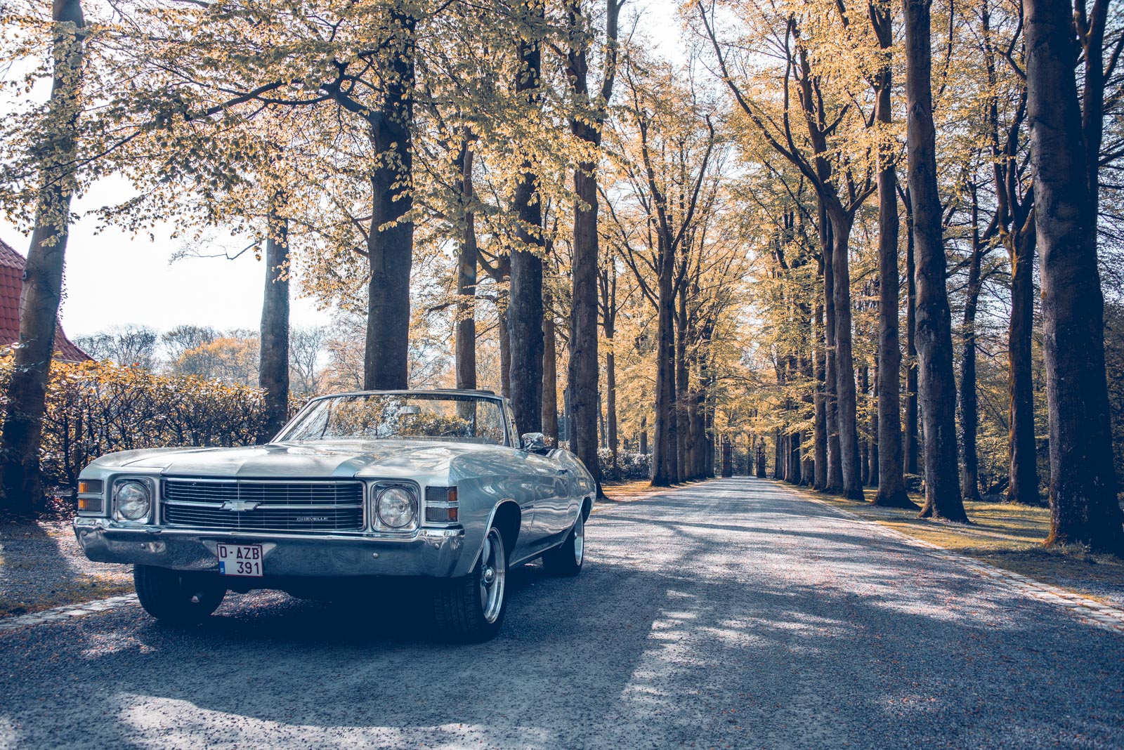 Voitures américaines, muscle car, Hot Rod , Kustom kulture. Malibu, mustang, pick-up ou Ford F150 vous trouverez tout chez American Classics. Chevrolet ou El camino, Camaro ou Pontiac GTO faites votre choix. Photo Laurent Scavone
